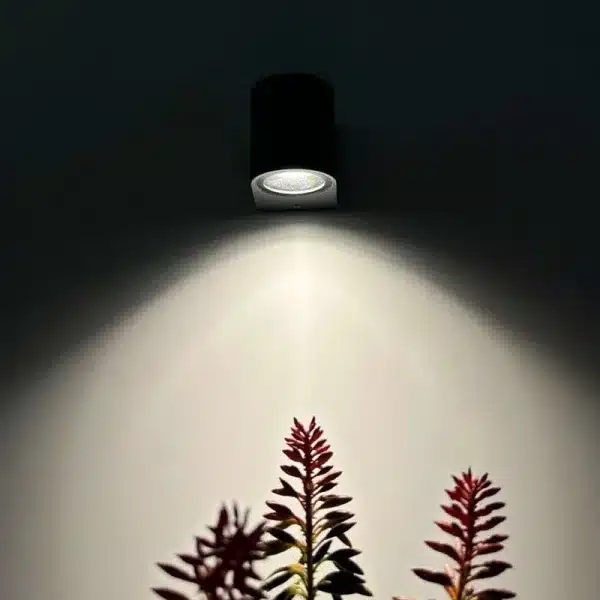 Modern outdoor wall light in graphite finish