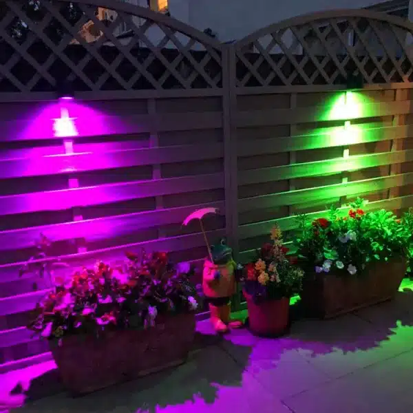 Modern down outdoor wall light in graphite finish with colour changing bulbs