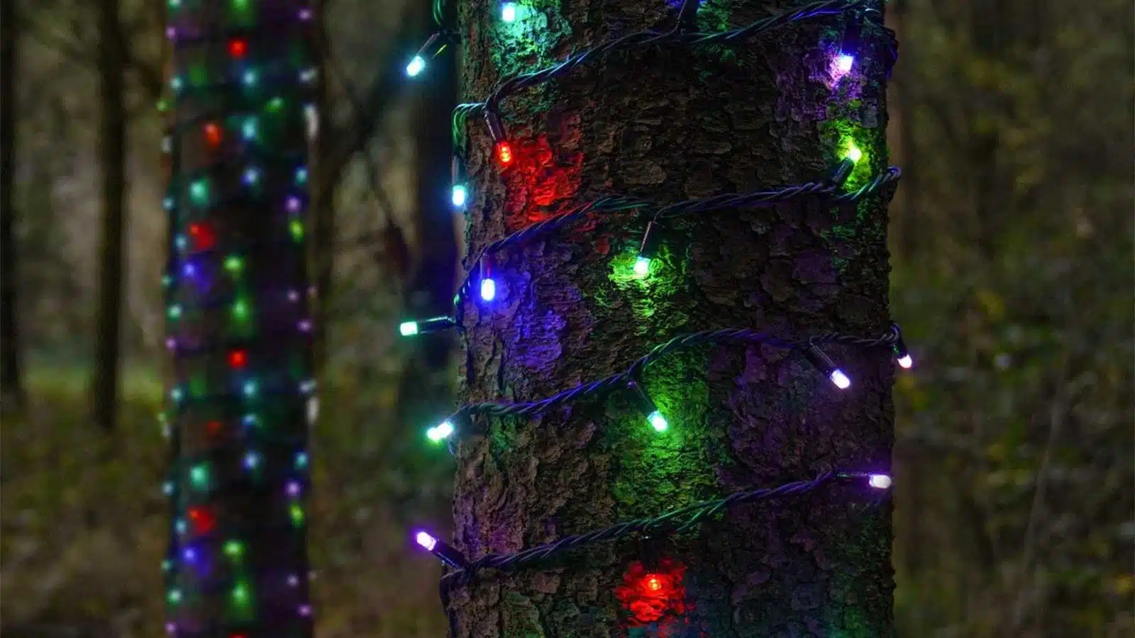 Multicolour outdoor connectable Christmas lights display