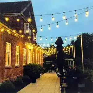 Outdoor Festoon Lights Drop Harness 10 Metres