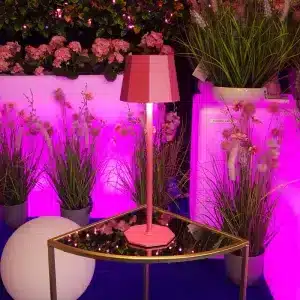 Rechargeable table lamp with touch control in pink colour for indoor and outdoor use
