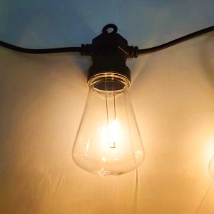 20 LED Warm White Vintage Festoon Lights