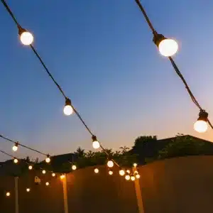 Warm White Opal Festoon Lights