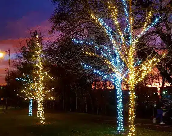 inter-connectable outdoor Christmas tree lights