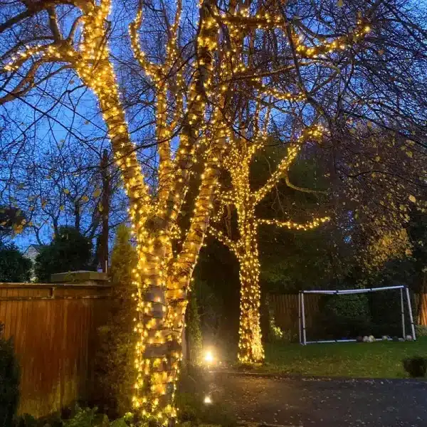 Christmas Lights