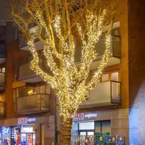 Christmas Tree Lights