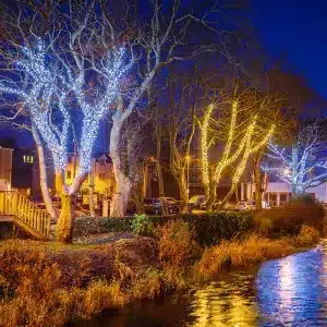 Outdoor Christmas Lights