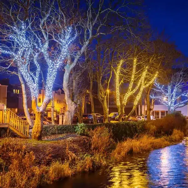 Outdoor Christmas Lights