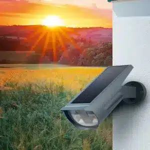 Solar Lights