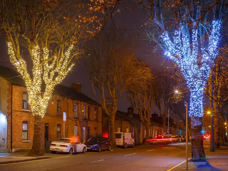 Low voltage black cable Christmas lights available in warm white and ice white outdoor display