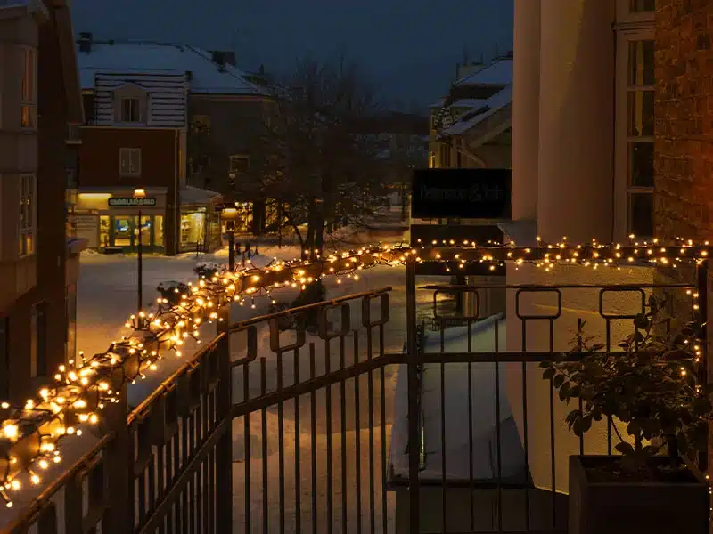 300 low voltage connectable cluster Christmas lights ideal for trees, bushes and shrubs