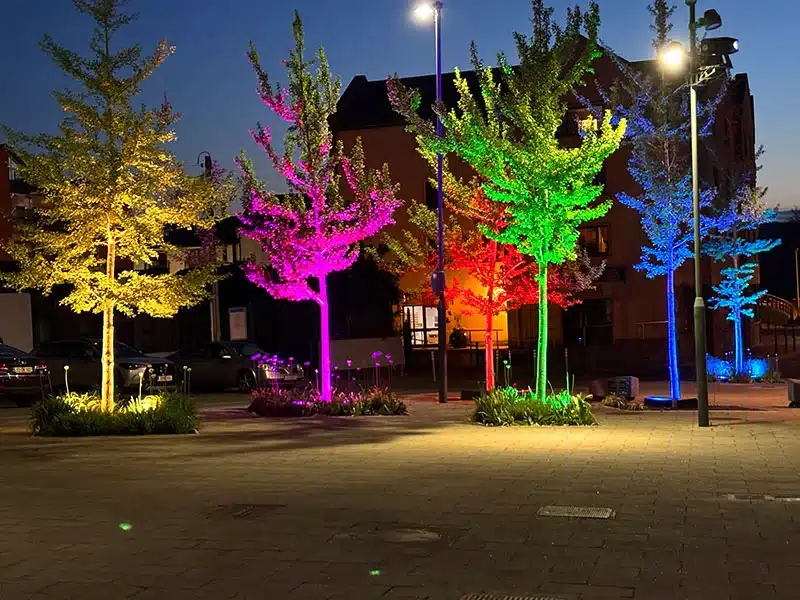 Uplighting trees with colour-changing 50W floodlights in warm white, green, pink, blue and red