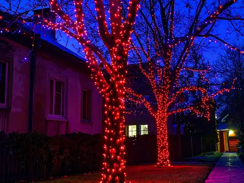 White cable connectable red Christmas string lights on outdoor trees