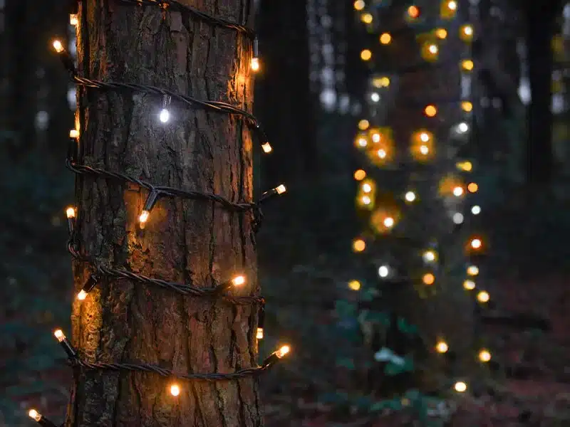Low voltage connectable warm white with ice white flash LED string Christmas lights tree display