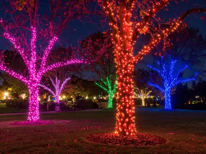 Connectable outdoor Christmas lights in pink, red, green and blue LED colours