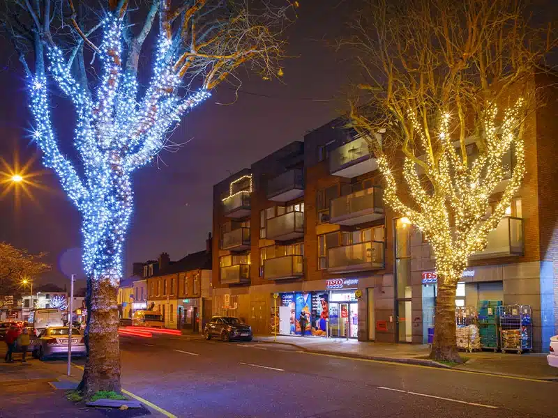 Ice white and warm white Connectable outdoor Christmas lights white cable ideal for trees, fences and railings
