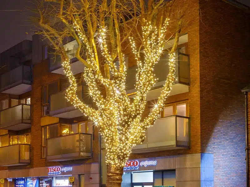 Connectable warm white with ice white flash outdoor Christmas lights, ideal for rooflines, trees, fences and railings