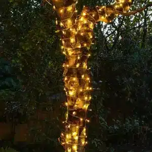 100 multifunction connectable Christmas lights warm white in clear cable outside tree display