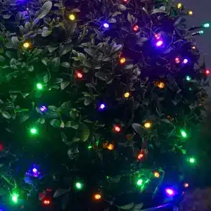 200 LED battery operated Christmas lights multicolour with twinkle effect outdoor tree display