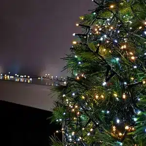 200 LED Battery Christmas Lights Warm White with Ice White Flash Tree Display