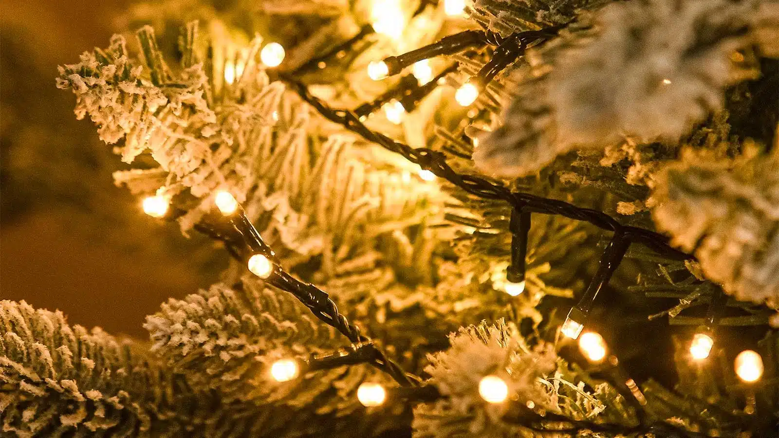 240 multifunction warm white LED Christmas lights display
