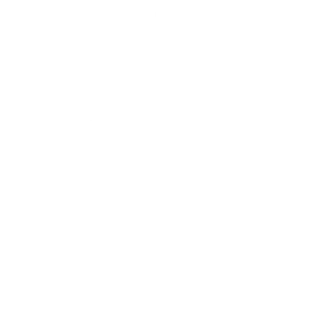 Integrated Laser Light