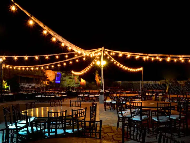 50 metre festoon string lights harness with 100 lamp holders ideal for weddings, garden parties and commercial displays