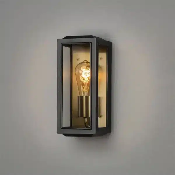 Black brass outdoor wall light with clear glass