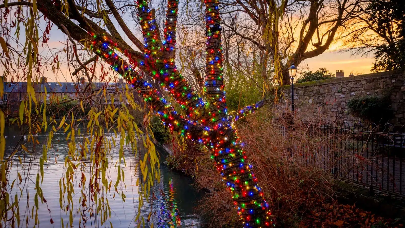 Connectable multicolour with ice white flash black cable Christmas lights outside tree display