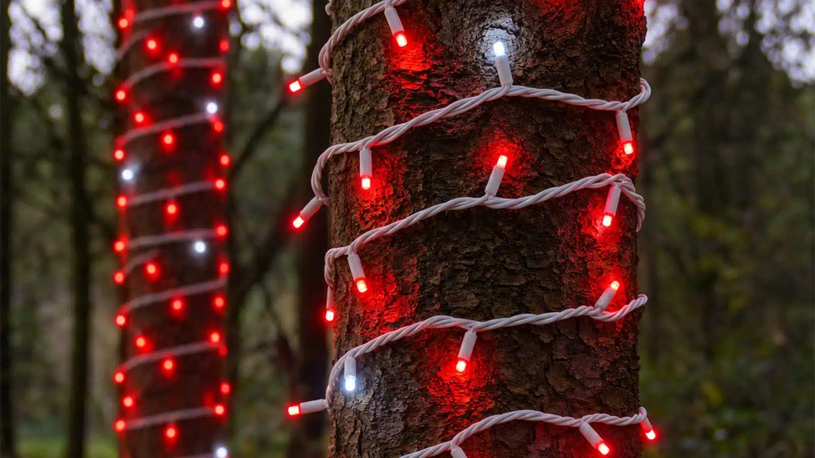 Connectable red with ice white flash white cable Christmas lights outside display