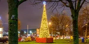 Christmas Cone Trees