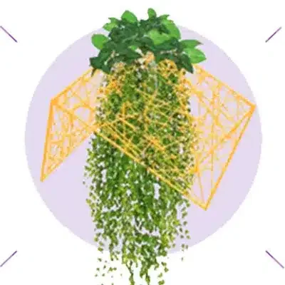 Plant decoration