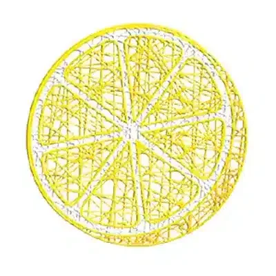 Lemon-Slice-Hanging-Decoration Lemon Slice Hanging Decoration