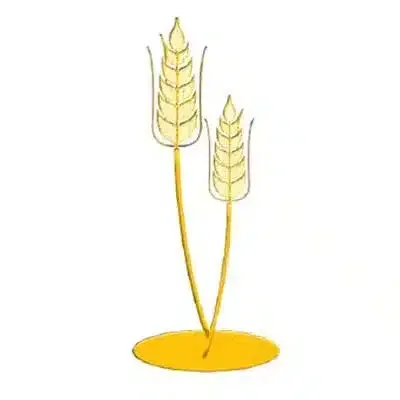 Wheat stalks for ground decorations